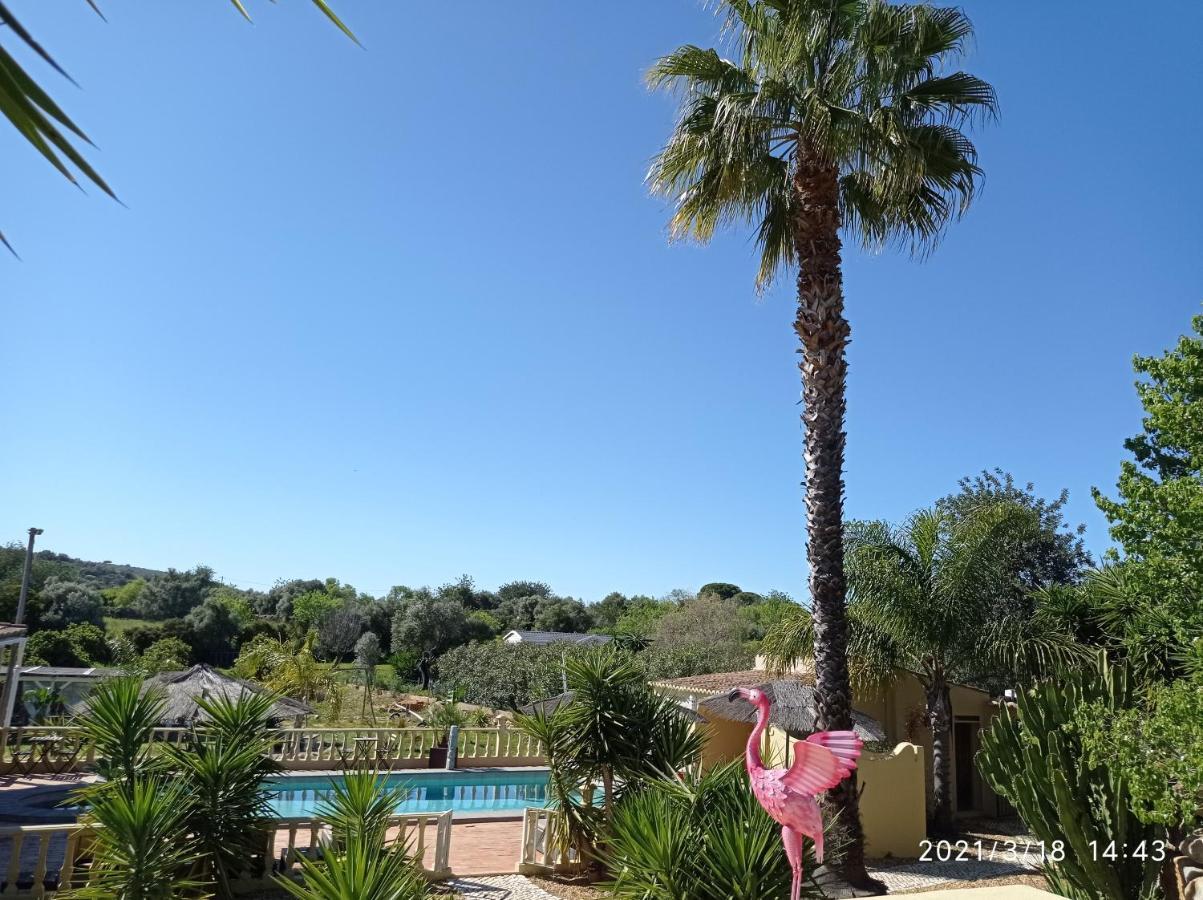 Quinta Pereiro Tropic Garden, Algarve Bed and Breakfast Moncarapacho Exteriör bild