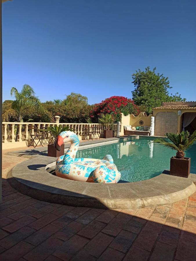 Quinta Pereiro Tropic Garden, Algarve Bed and Breakfast Moncarapacho Exteriör bild