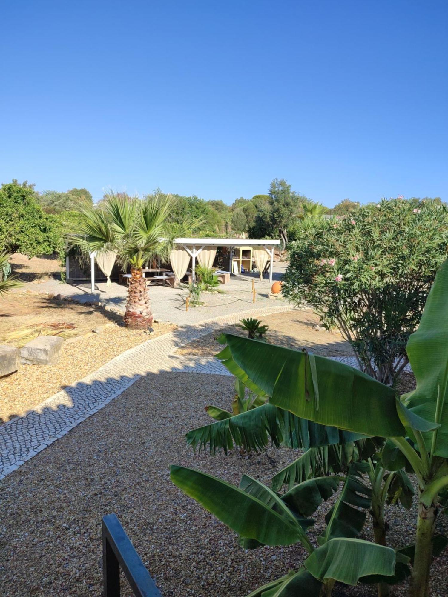 Quinta Pereiro Tropic Garden, Algarve Bed and Breakfast Moncarapacho Exteriör bild